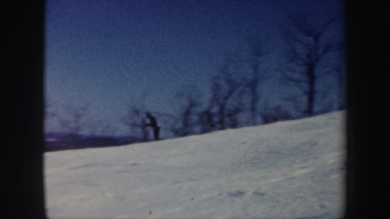 Snowy hillside with bare trees and a distant skier near the left edge.