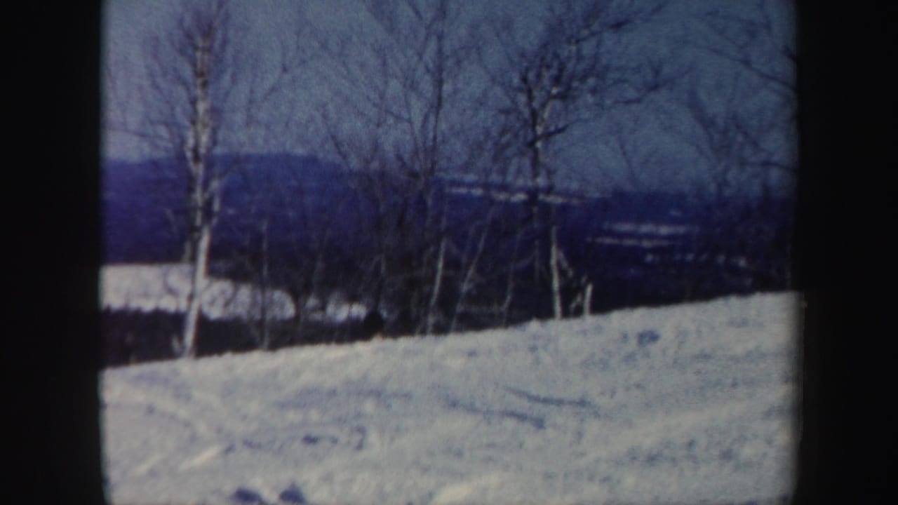 Snowy slope with bare trees and wooded hills in the distance.