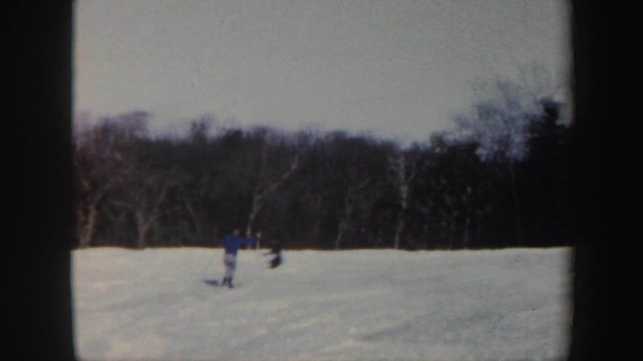 Distant skier in a blue jacket on a snowy slope near bare trees.