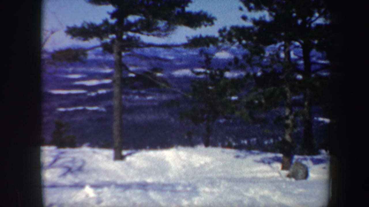 Snowy mountain slope with evergreen trees and distant hills under a blue sky.