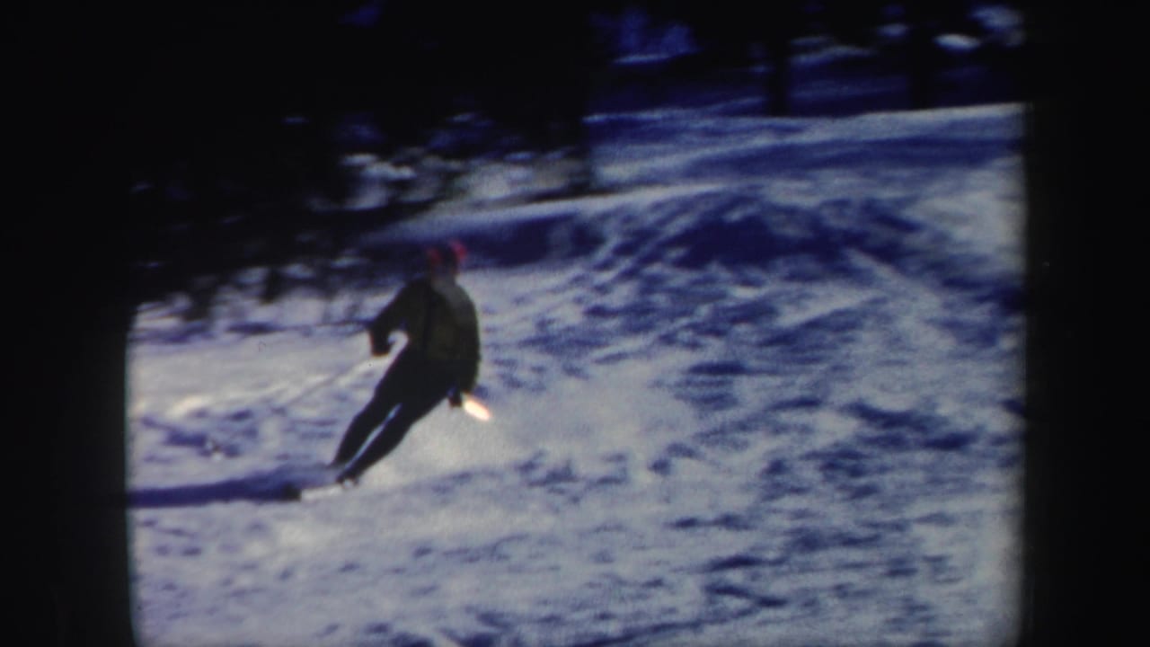 Skier turns across a snowy slope with trees in the background.