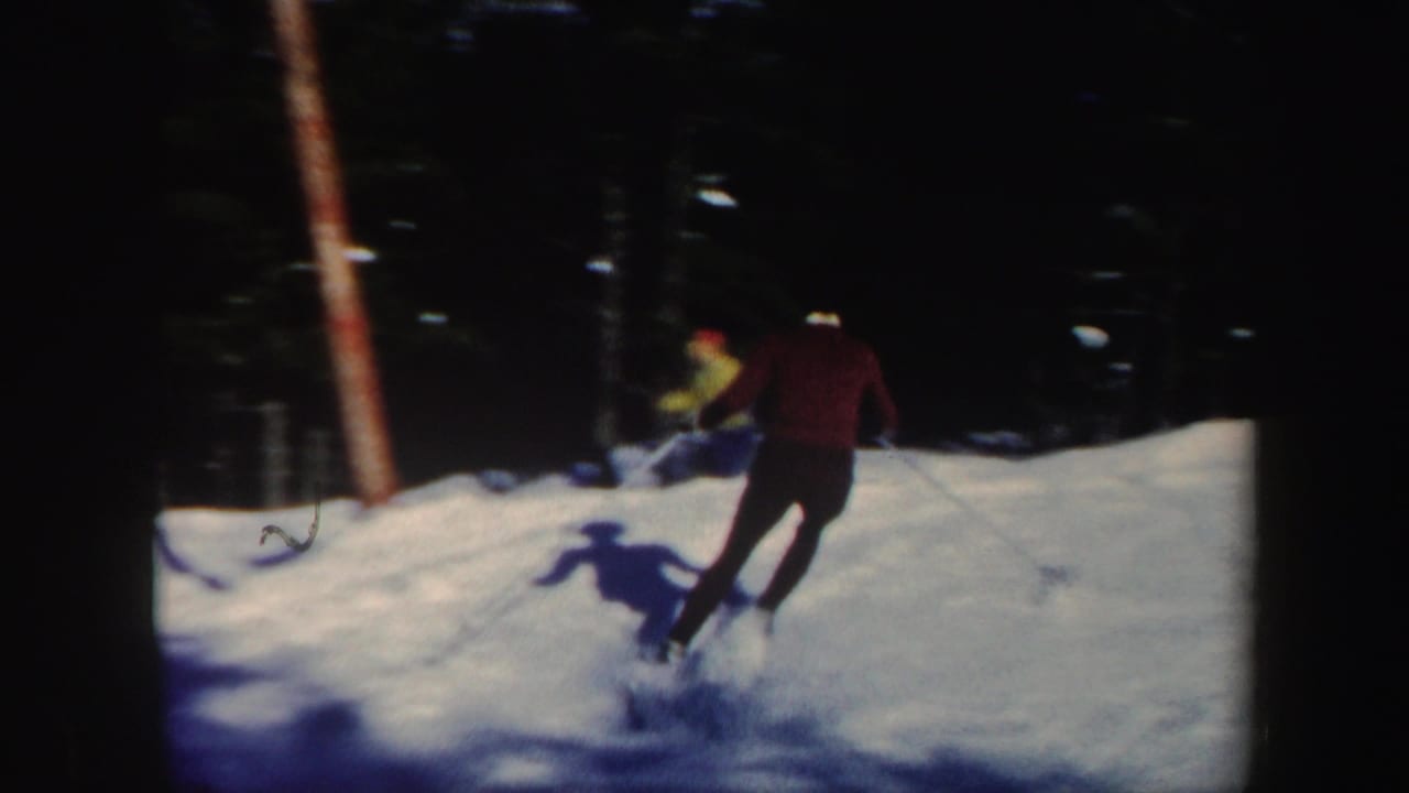 Skier in a red jacket moves across a snowy wooded slope.