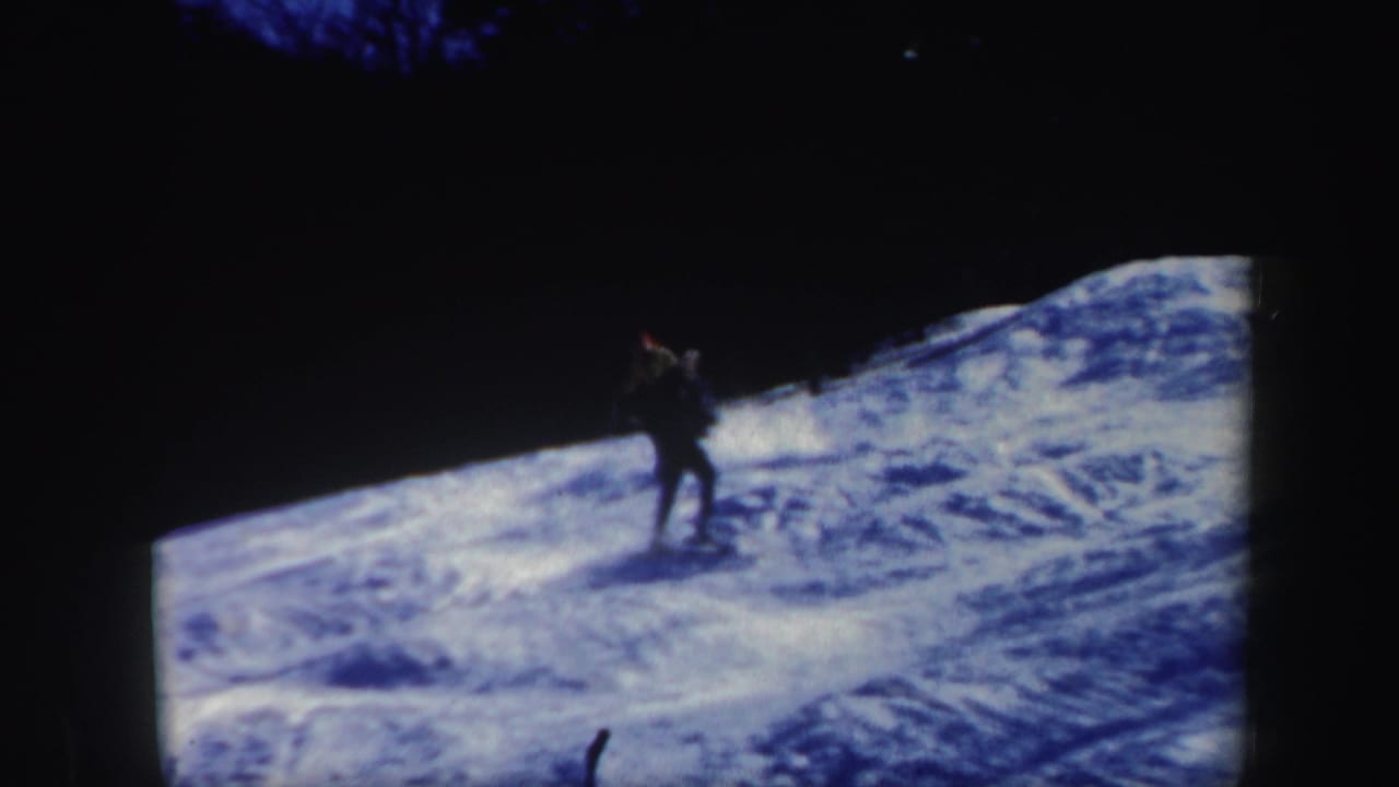 Distant skier on a snowy slope beneath dark trees.