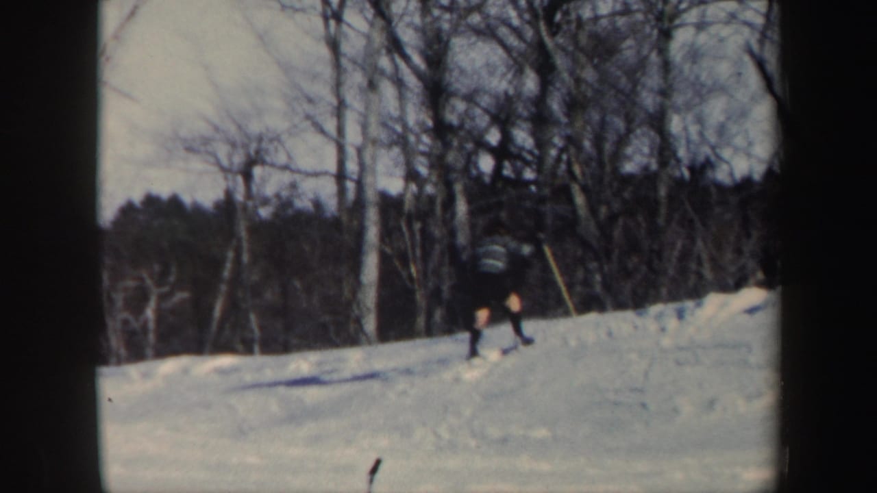 Skier on a snowy slope near leafless winter trees.