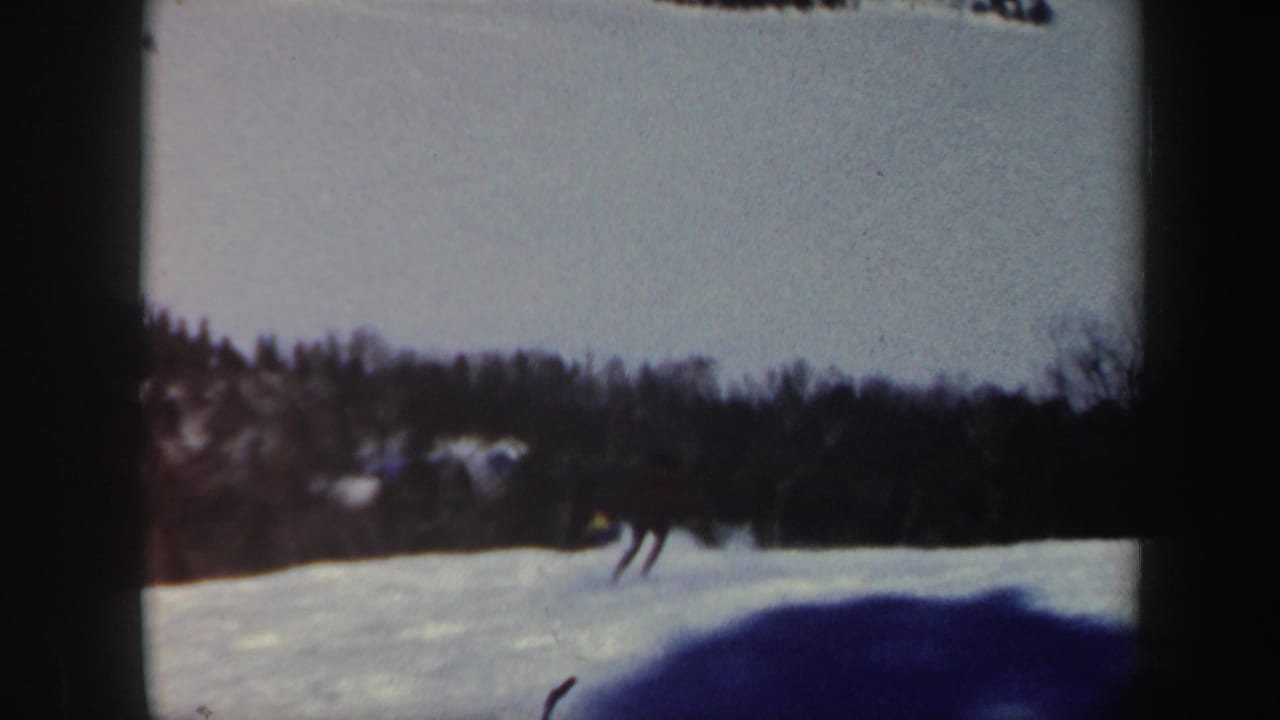 Distant skiers on a snowy slope with a wooded ridge behind them.