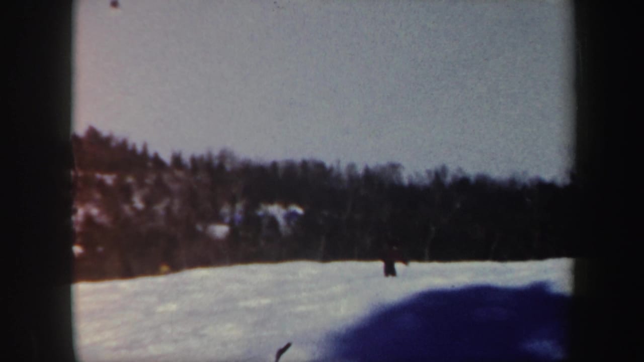 Snowy hill with a small distant figure near the forest line.