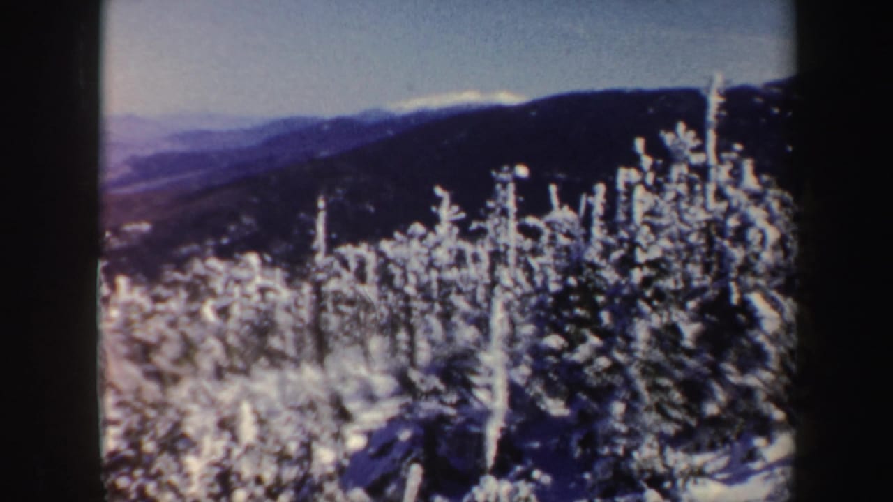Snow-covered evergreen trees with wooded ridges and mountains beyond.