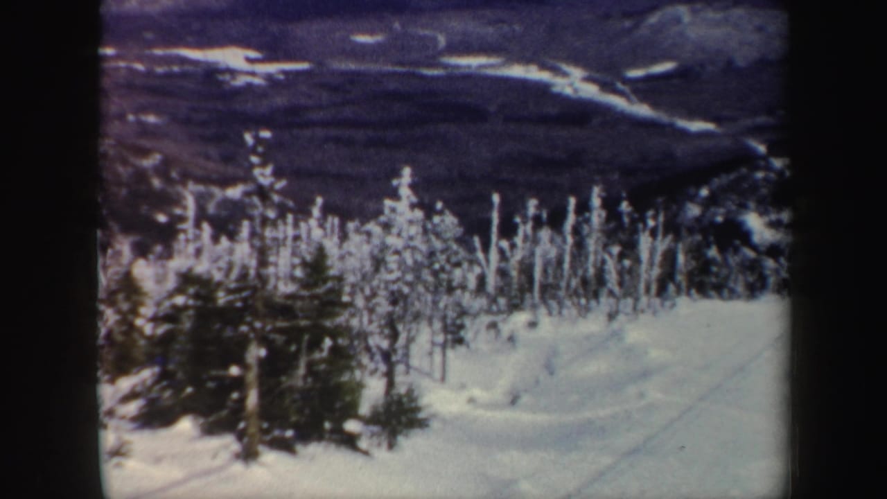 Snow-covered evergreens and a distant mountain landscape seen from a ski slope.