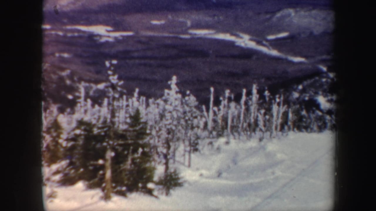 1962 Vermont home-movie frame of snow-laden trees and distant frozen ridges across a winter ski landscape.