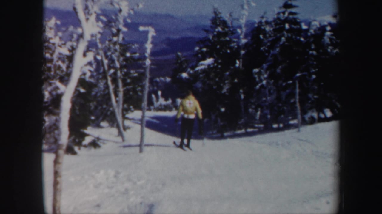 The skier continues downhill on a Vermont snow slope, framed by tall winter trees and distant blue mountain ridges.