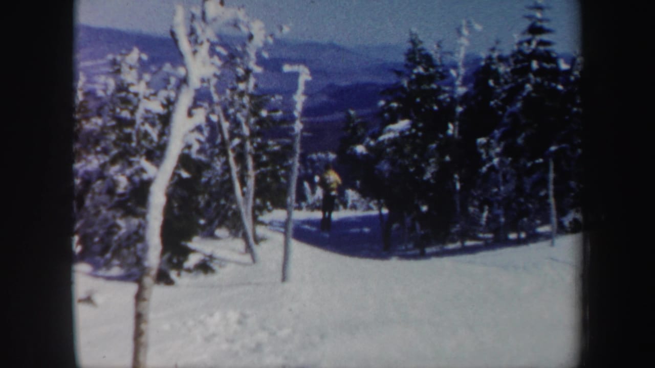 Distant skier on a snowy run between frosted trees with mountains in the background.