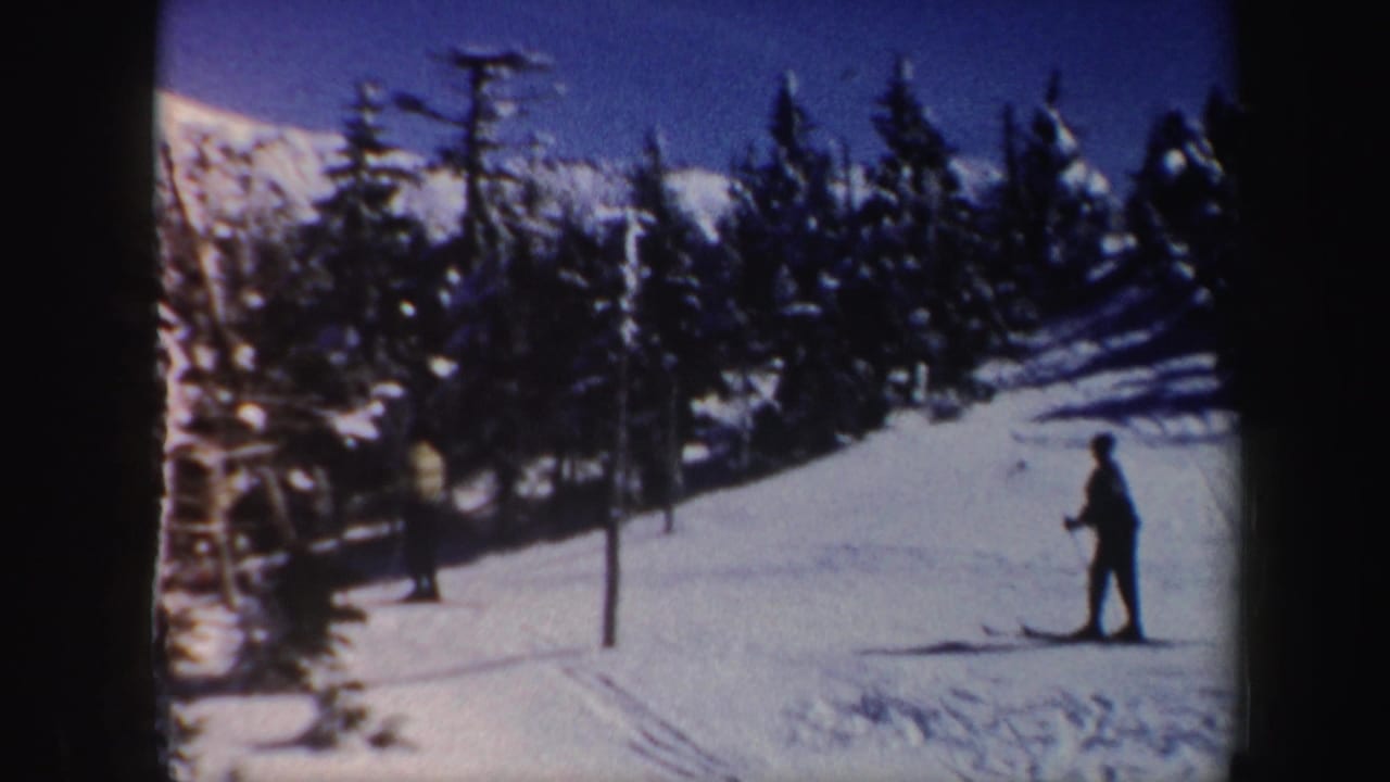 A lone skier stands or glides on a Vermont ski trail, with snow-covered evergreens and lift poles behind.