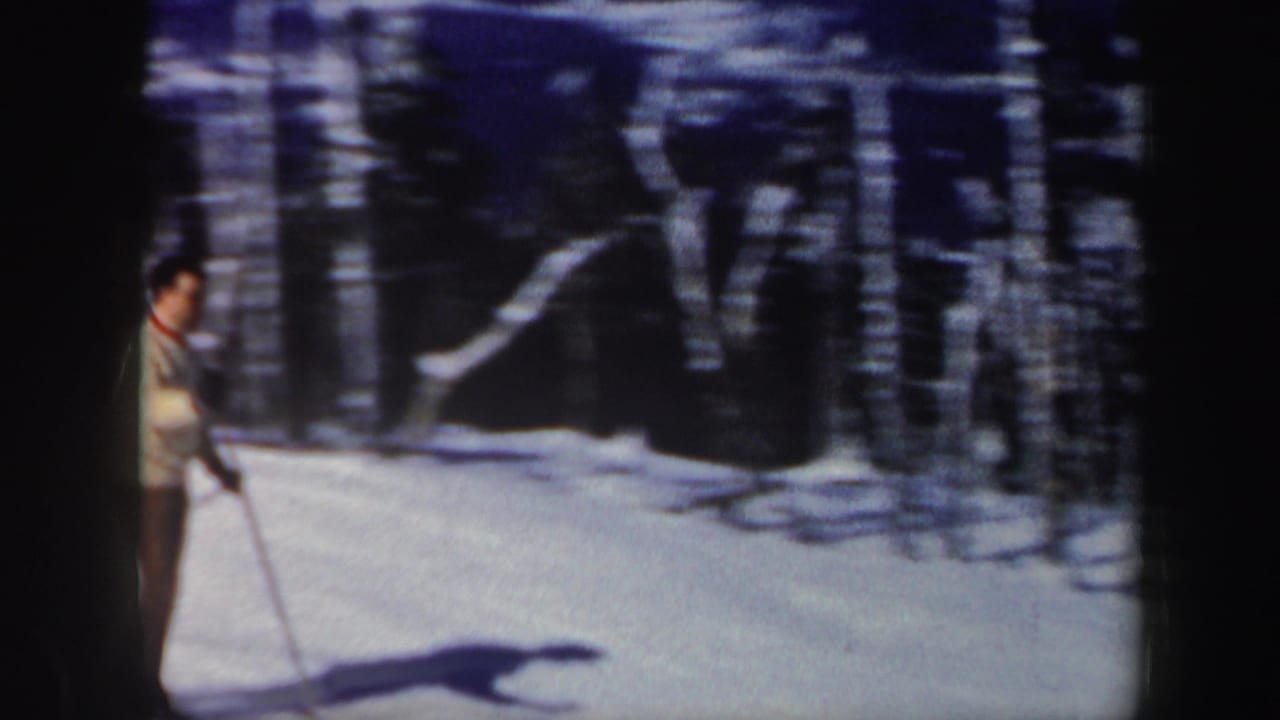 Adult man on skis standing near a snowy wooded slope.