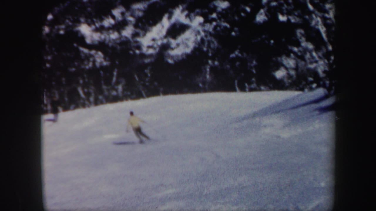 Skier descending a snowy slope bordered by dark evergreen trees.