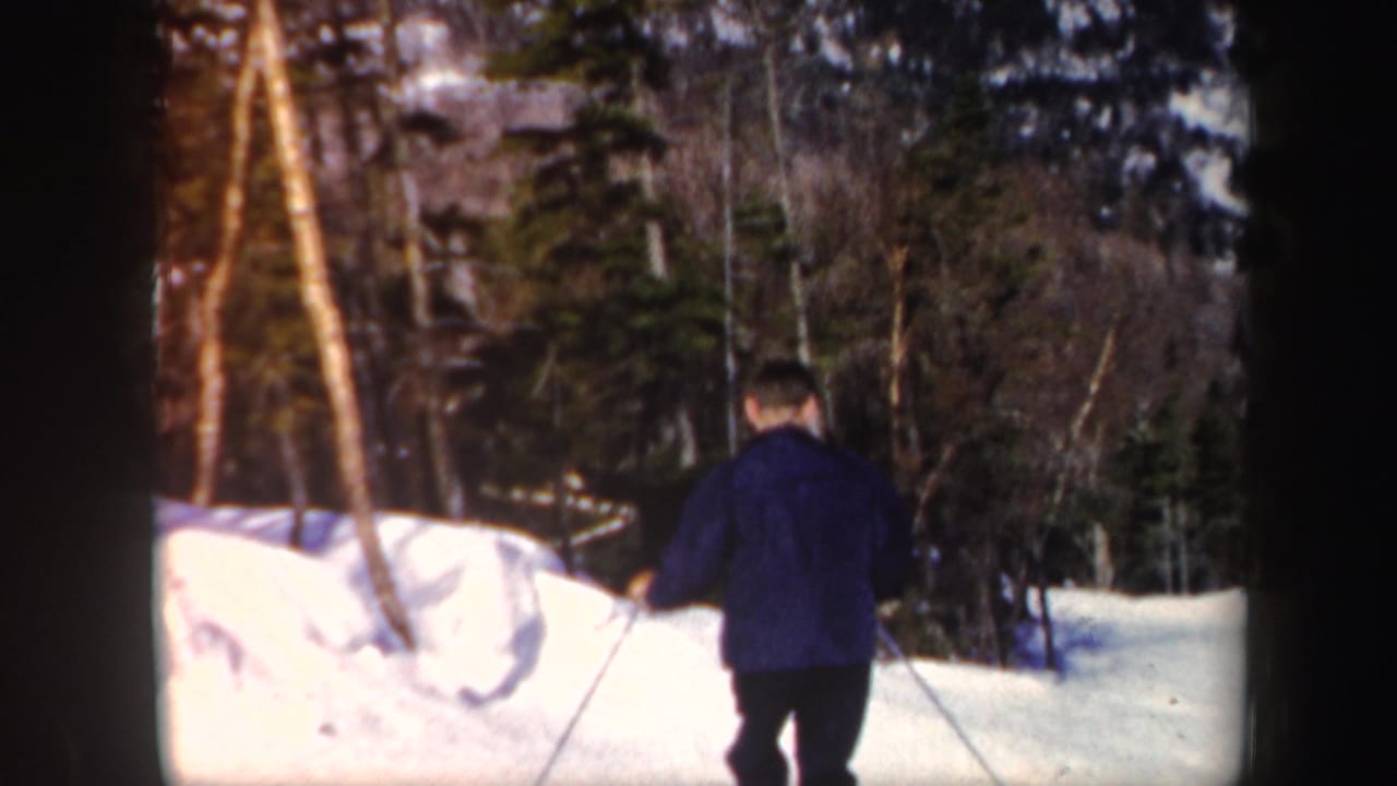 Adult skier in dark clothing on a snowy wooded slope.