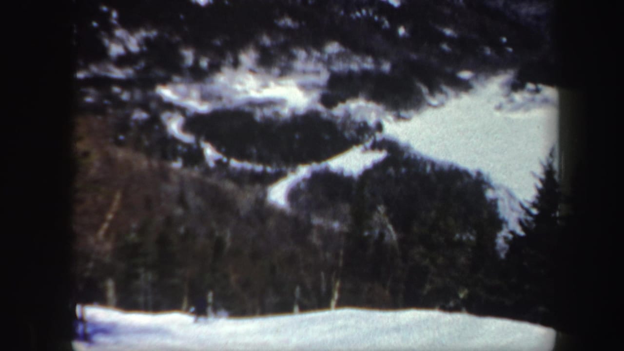 Snowy mountain slope with dark trees and a distant runner near the foreground.