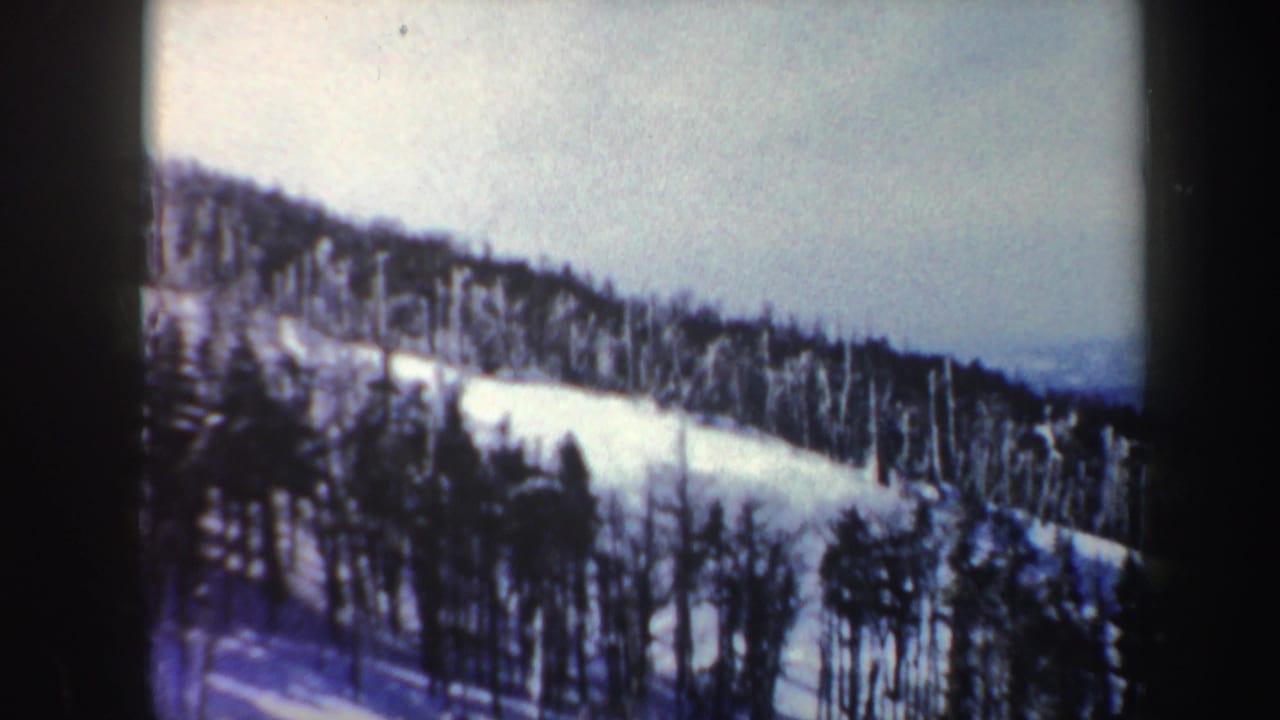 Snow-covered wooded hillside beneath a pale winter sky.
