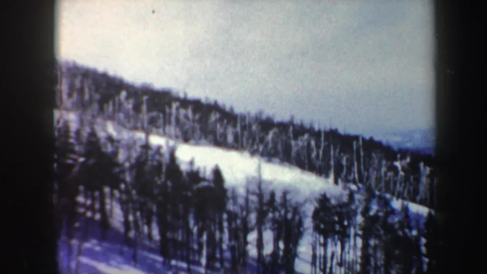 1962 Vermont 8mm frame showing a snowy wooded hillside with dark trees and a pale winter sky.