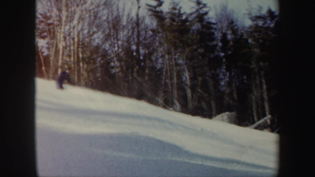 Distant skier on a snowy wooded hillside.