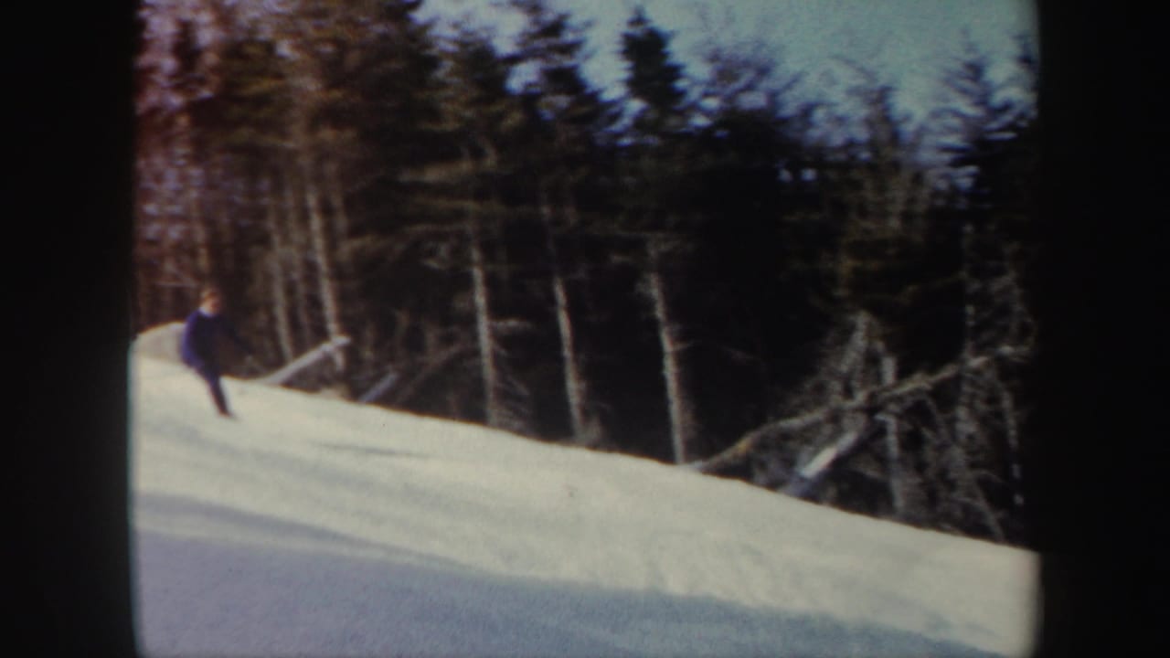Skier descending a snowy slope near dense trees.