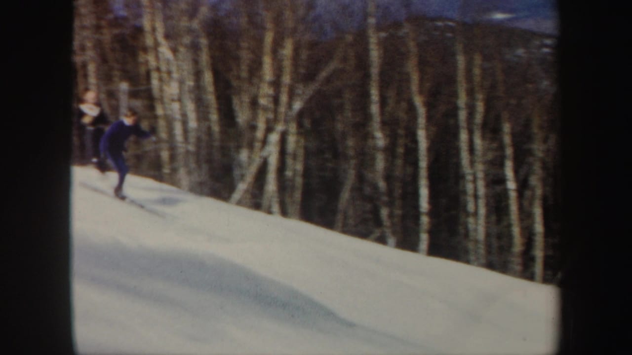 Skier in blue descends a snowy slope beside bare trees.