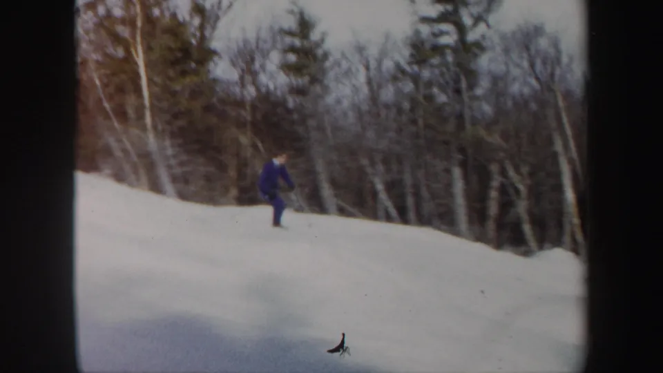 The skier in blue travels away across the snowy Vermont hillside, framed by bare branches and evergreens.
