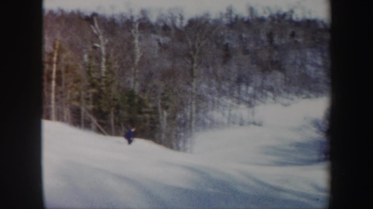 A distant skier in dark clothing crosses a snowy slope bordered by winter trees.