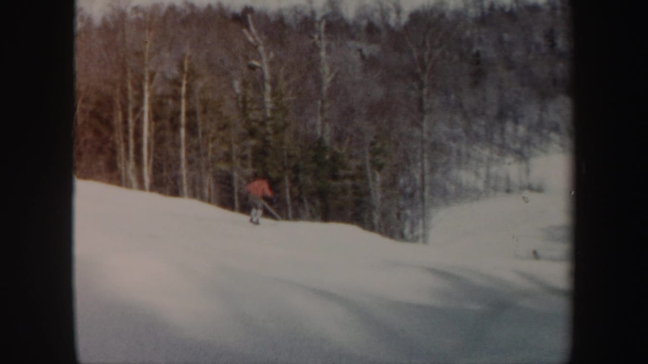 Skier in red bends near the edge of a snowy wooded trail.