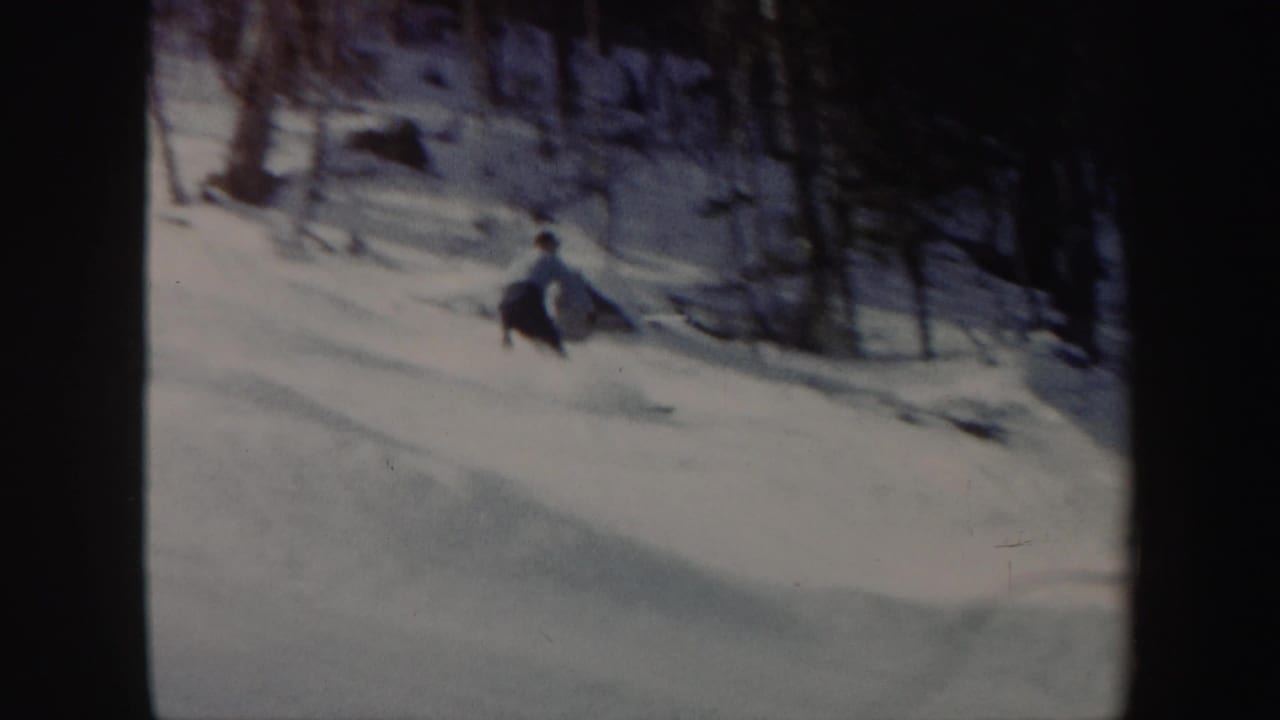 Skier descending a snowy wooded slope near bare trees.
