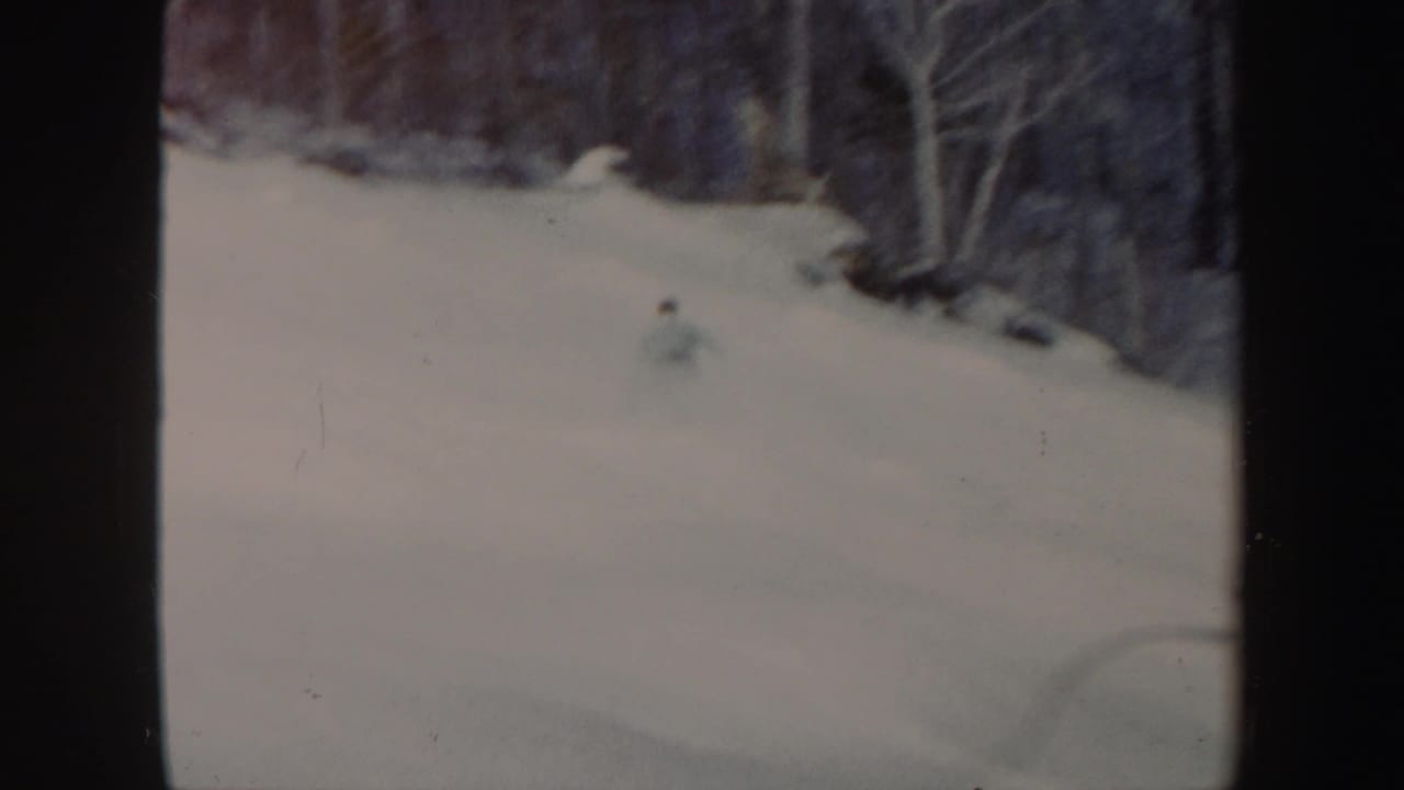 Small skier on a snowy slope beside bare winter trees.