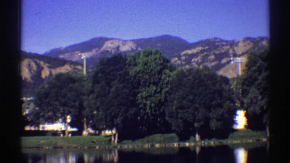 Colorado 8mm frame showing a broad tree canopy by the lake, mountain slopes behind it, blue sky, and bright water reflections.
