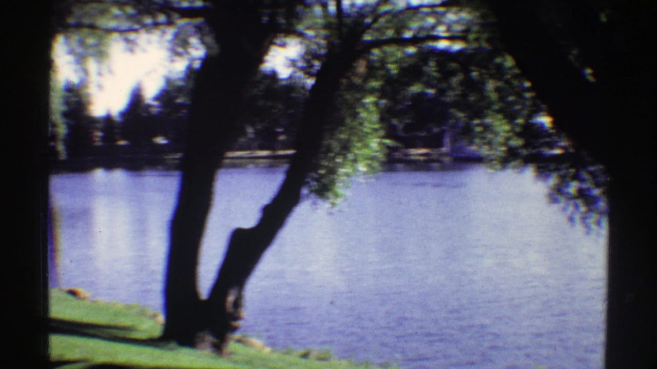 Calm lake seen through shaded tree trunks with grass at the near bank.