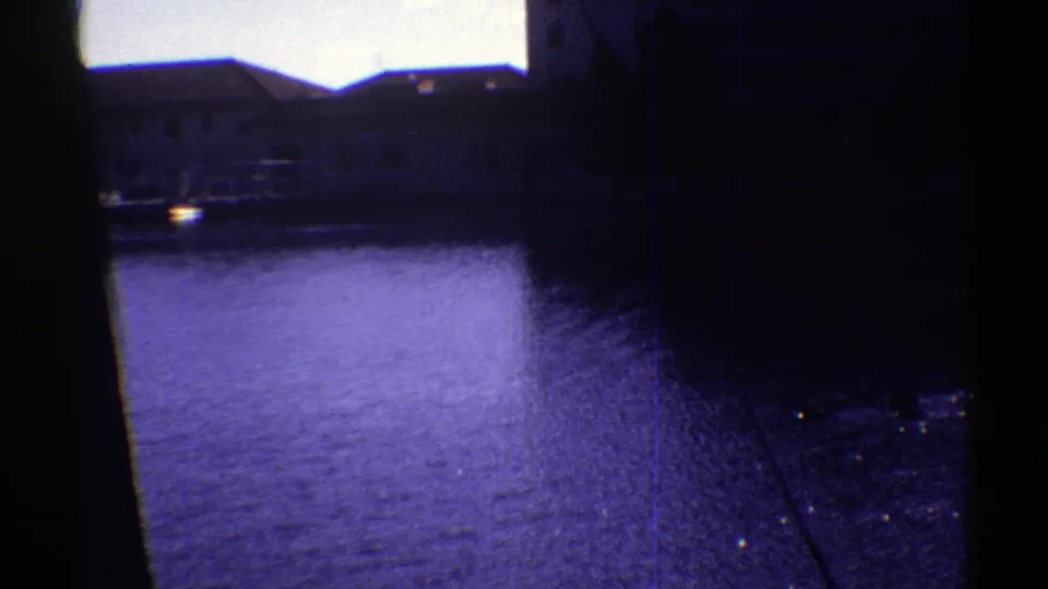A blue-purple 8mm view across Colorado lake water toward a low building, with a dark tree trunk in the foreground.
