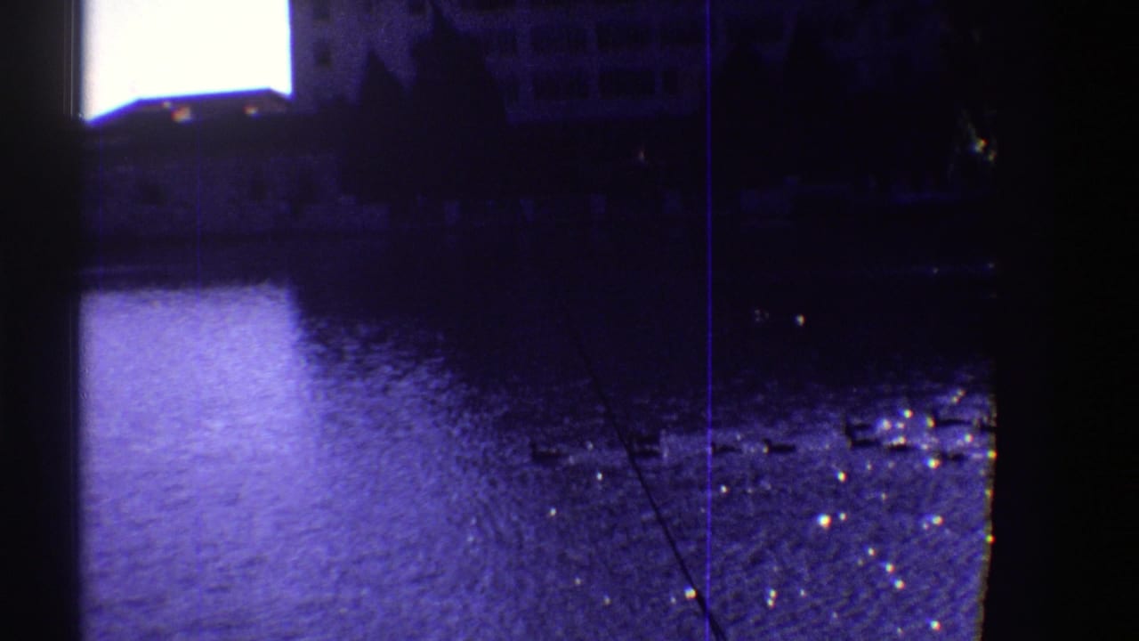 Ducks swim across purple-tinted floodwater with buildings faintly visible behind them.