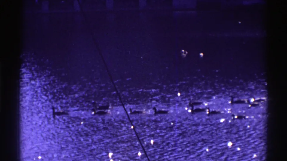 1969 Colorado home-movie frame with ducks spread across flooded water, sun glints on the surface, and a dark vertical obstruction near the center.