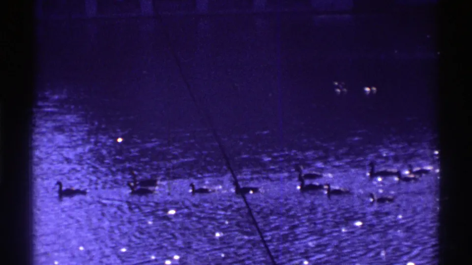 1969 Colorado 8mm frame showing ducks in the foreground of rippling floodwater, with glare, scratches, and faint background shapes above the water.