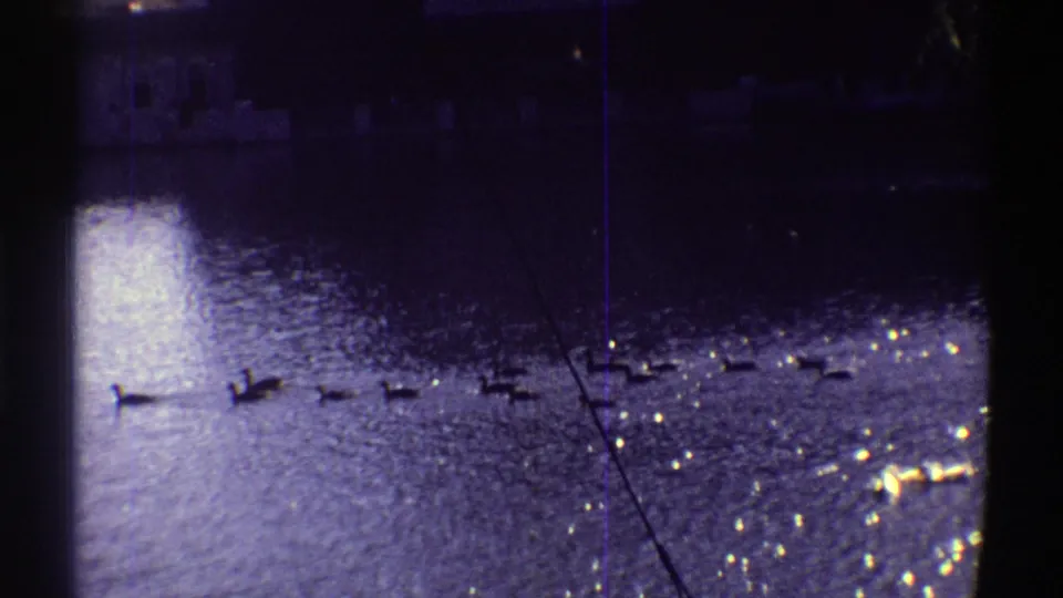 Waterfowl continue across a sunlit Colorado body of water in a grainy 1969 8mm home-movie frame.