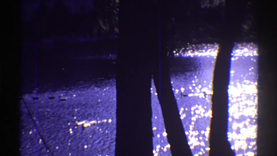 Grainy 1969 Colorado home-movie frame with waterfowl on rippling water partly framed by dark tree trunks.