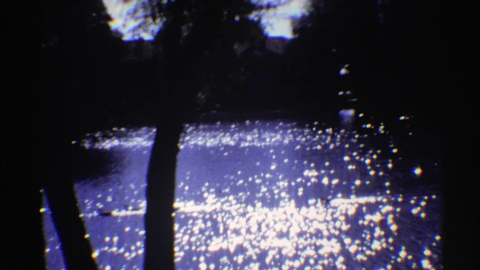 Late frame from the 1969 Colorado 8mm clip showing tree silhouettes and waterfowl against shimmering water.