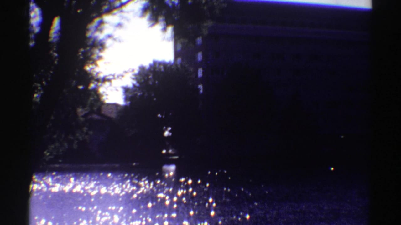 Dark trees frame a bright water surface and distant building edge.
