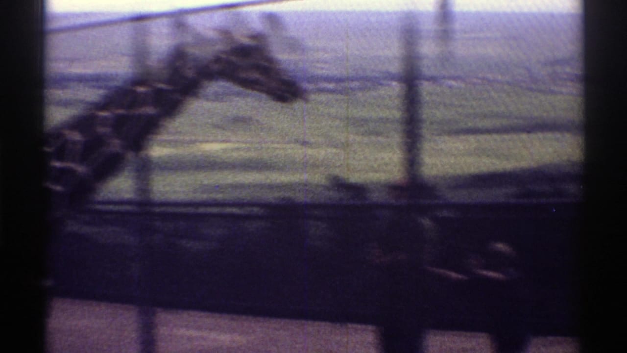 Blurred giraffe head and neck moving behind fence and dark posts.