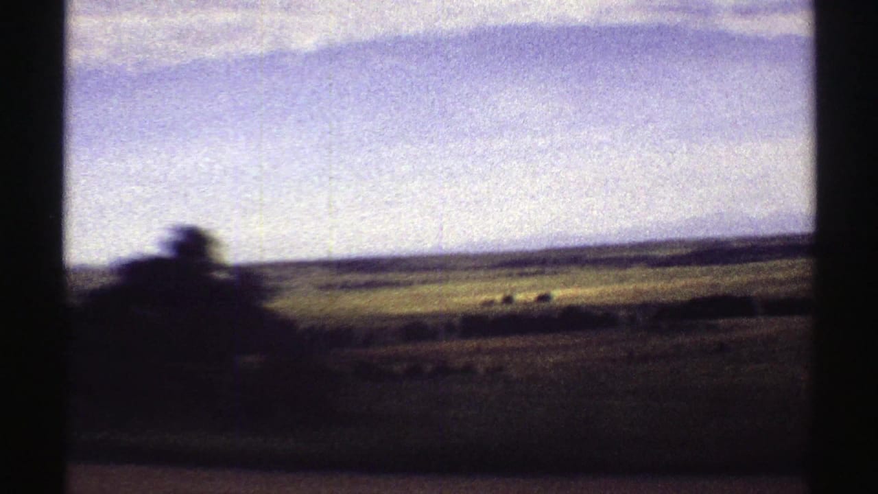 Open fields and sky with a blurred dark roadside object crossing the foreground.