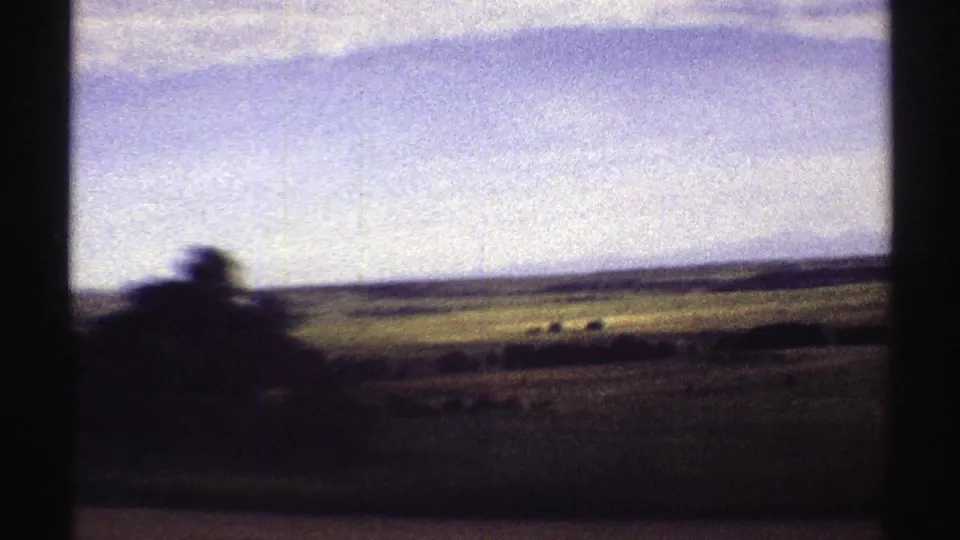Colorado rural landscape from a moving vehicle, with open fields, a pale blue sky, and motion-blurred roadside vegetation or framing.