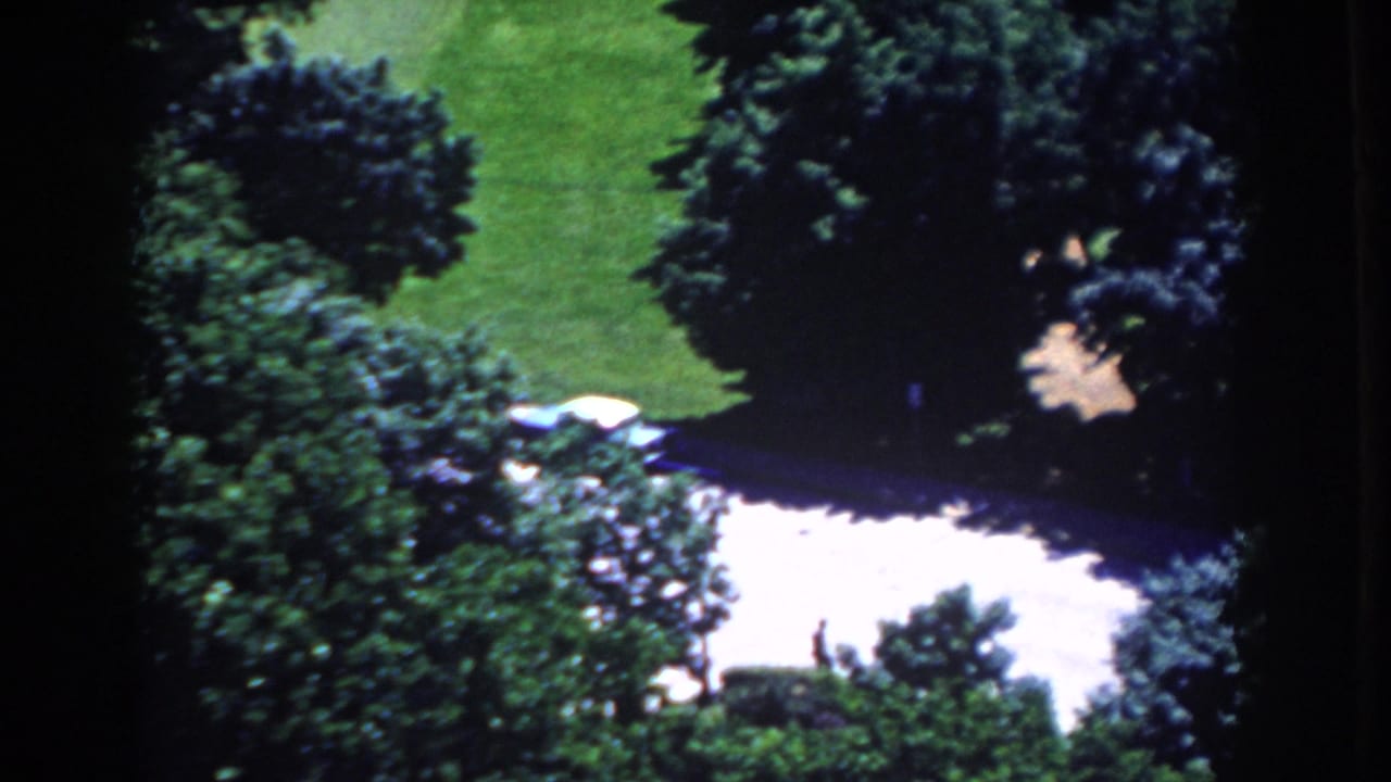 Tree-lined lawn and pale driveway with a small light-colored car partly visible.