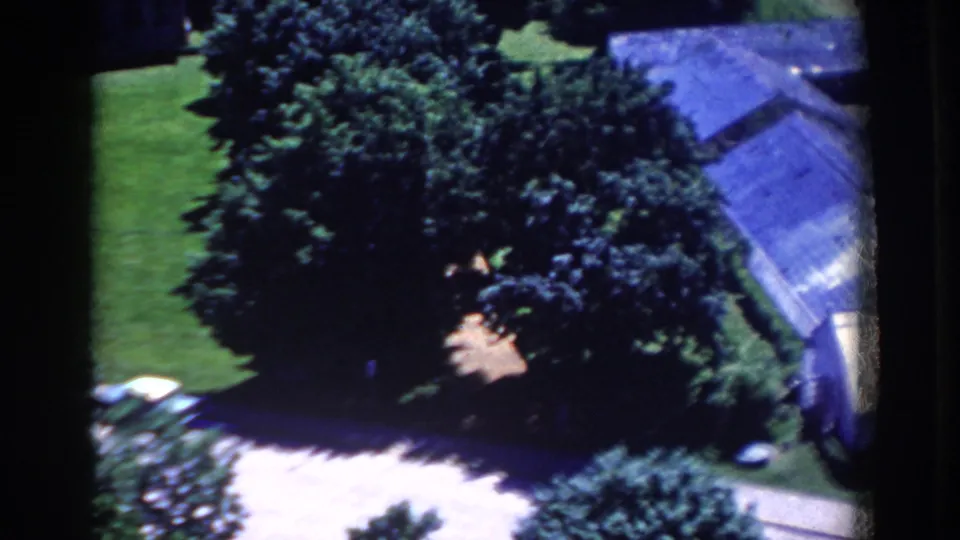 1958 French Lick home-movie frame with a tree canopy, pale drive, grass, and the blue-gray roof of a large house.