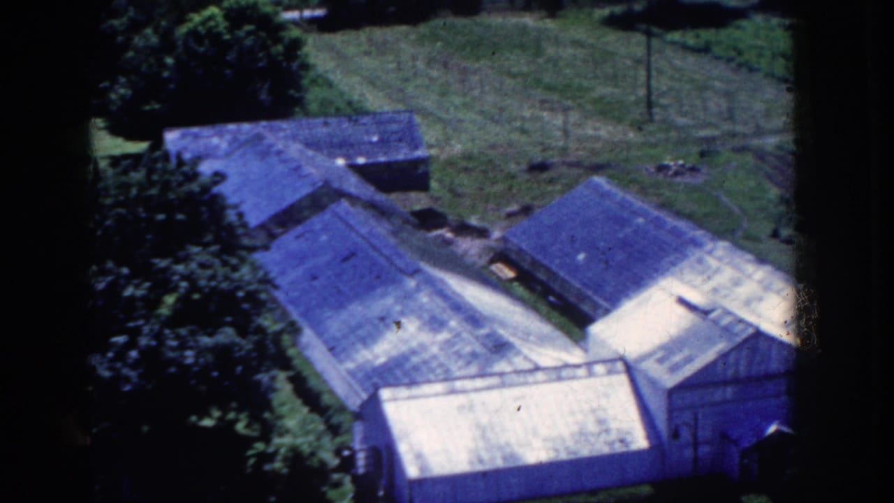 1958 French Lick home-movie frame showing silver greenhouse roofs, surrounding lawn, and dense trees from above.