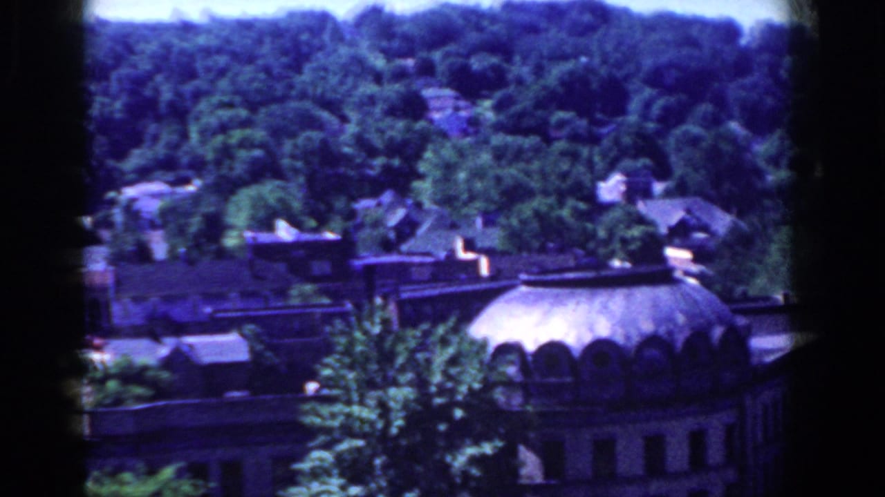 Domed rooftop and wooded hillside above a town area.