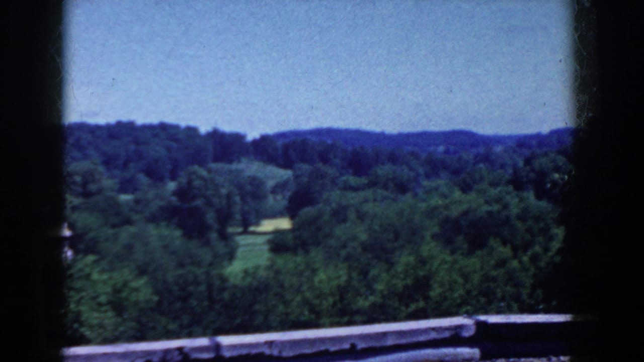 Tree-covered landscape seen from an elevated overlook with a low rail in front.