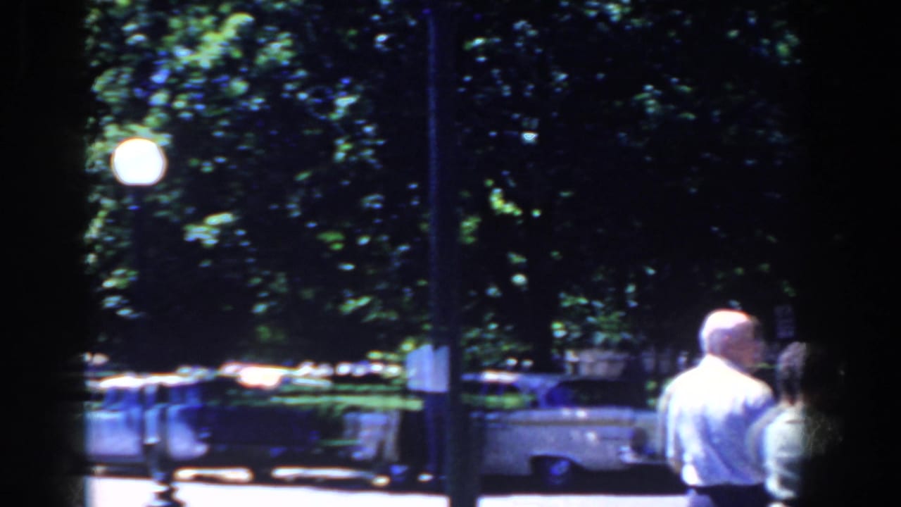 A few pedestrians pass near parked cars under trees and globe streetlamps.