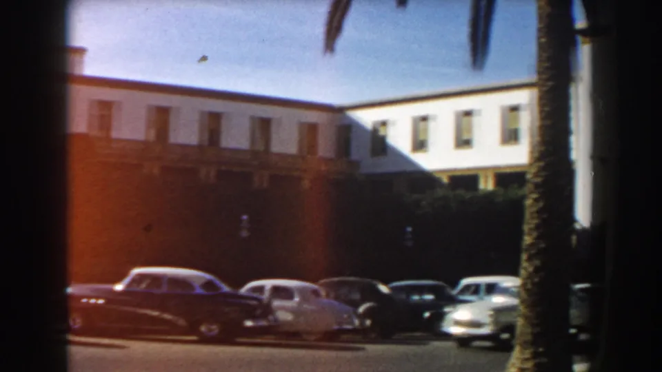 Casablanca street frame with parked mid-century cars, a brick wall, pale building, and palm trunk at the edge.